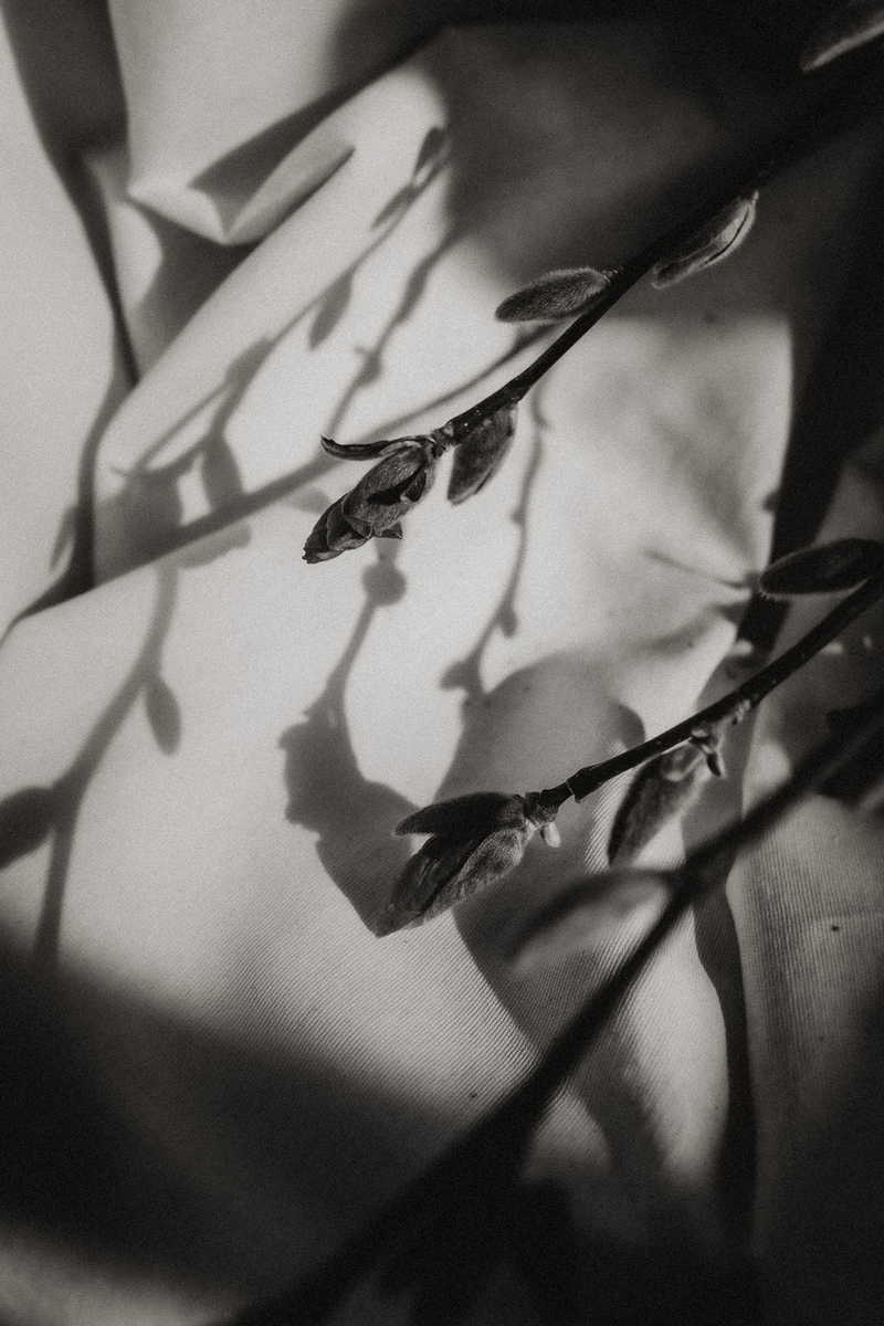 Elopement au Domaine de Locguénolé - 20